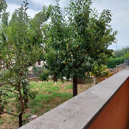 Susy E Piero Con Giardino Apartamento